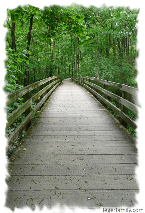 The Gorge Trail